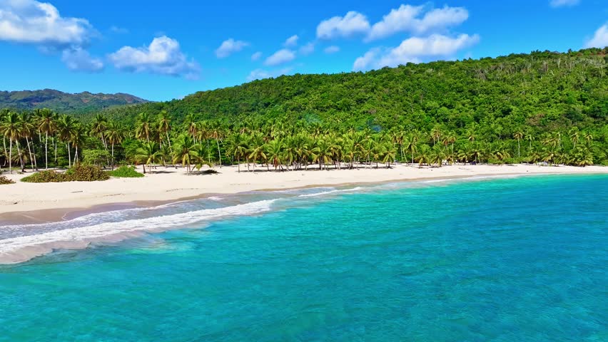 Coconut palms on a sandy beach in the Dominican Republic. Amazing tropical seascape. Summer vacation on a paradise island. Vibrant nature on the seashore. A journey to a tropical paradise.