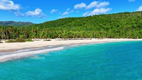 Coconut palms on a sandy beach in the Dominican Republic. Amazing tropical seascape. Summer vacation on a paradise island. Vibrant nature on the seashore. A journey to a tropical paradise. - Powered by Shutterstock - Get 15% off with code: PIKWIZARD15