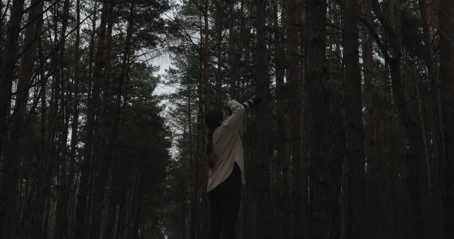Female photographer taking photos in a dark pine forest with a professional camera