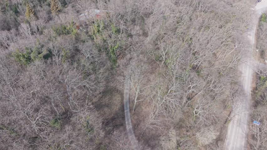 Aerial shot of countryside landscape combining forest areas and agricultural fields