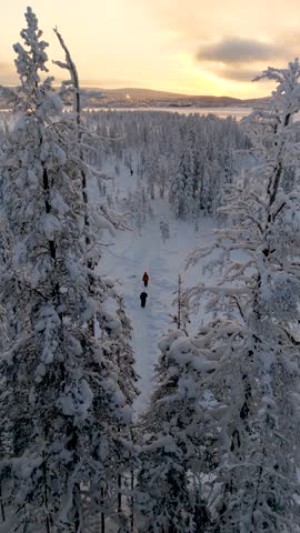 A couple of Explorers trek through a serene, snow-covered forest in Akaslompolo, Lapland, Finland during a breathtaking winter sunset. Nature