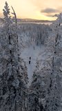 A couple of Explorers trek through a serene, snow-covered forest in Akaslompolo, Lapland, Finland during a breathtaking winter sunset. Nature's beauty shines through the glistening trees and trails. - Powered by Shutterstock - Get 15% off with code: PIKWIZARD15