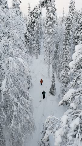 Two hikers navigate a snowy trail surrounded by majestic pine trees in the enchanting winter landscape of Akaslompolo, Lapland. The serene beauty of nature creates a magical atmosphere.