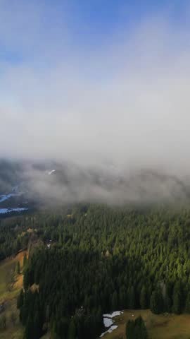 Landscape view of a dense forest with mist and cloud cover settling over the trees