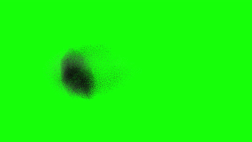 4k Starling murmuration as birds fly green screen