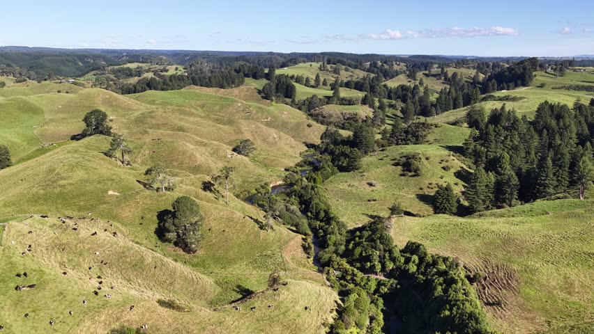 Te Waihou Walkway Hamilton New Zealand aerial push over green hills, winding river and farmland natural landscape and countryside.