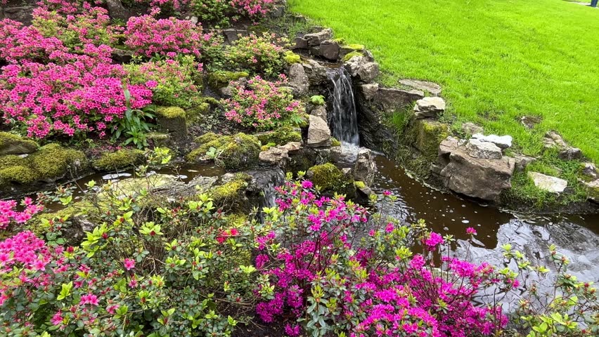 Crystal clear water stream running down in form of cascade at world famous Keukenhof tulip garden, peaceful spring scene from tourist attraction Dutch botanical park in Lisse, the Netherlands
