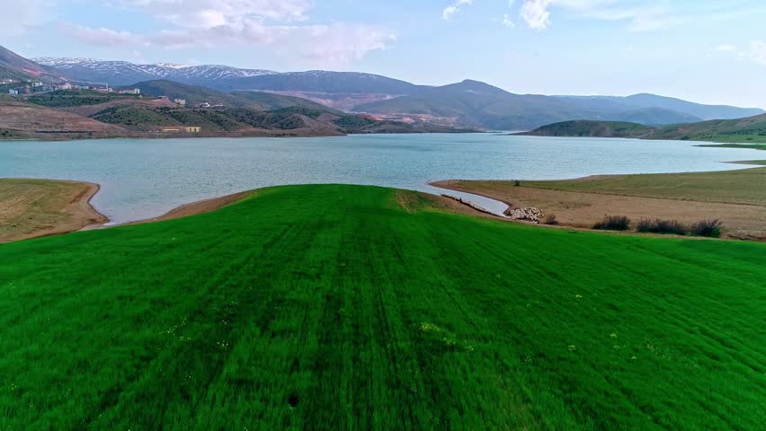 Drone view of a vivid green field stretching into a calm mountain lake, with rolling hills, distant snowy peaks and a small sheep flock near the shore. Scenic rural landscape in springtime.
