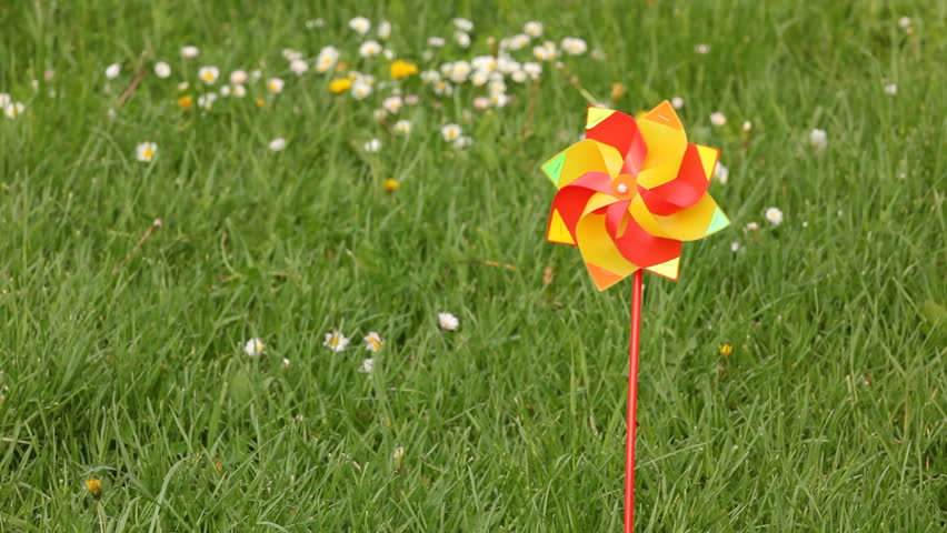 Color pinwheel in the garden
