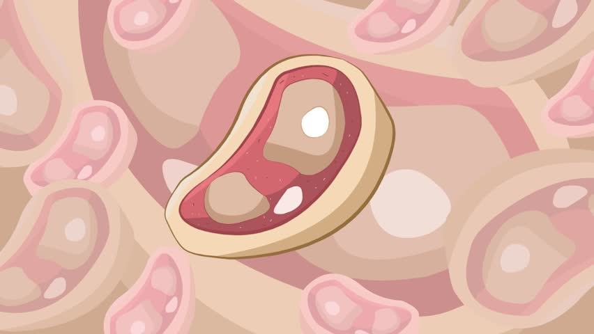 Cartoon style animation with a piece of steak moving, meat, food, art, 2D.