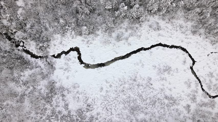Cinematic drone top-down zoom out: flying over frozen lake surrounded by snow-covered pine and beech forest during heavy snow storm. Harsh winter landscape near Halifax, Nova Scotia, Canada 4K.