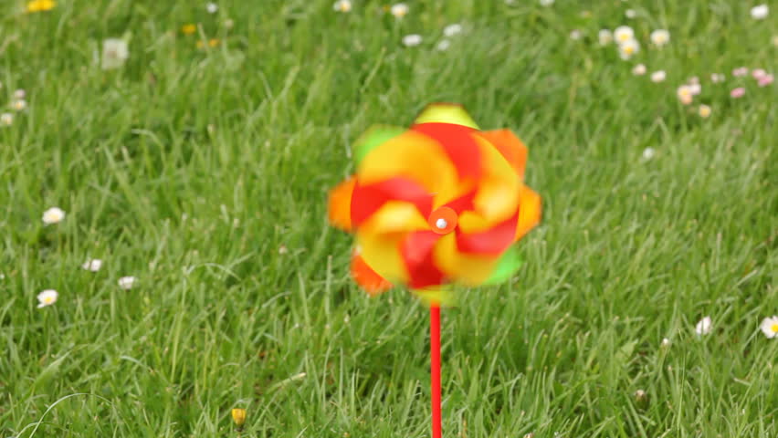 Color pinwheel in the garden