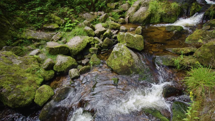 Looking up at Waterfall in Menzenschwander cascade in Black Forest Germany Schwarzwald