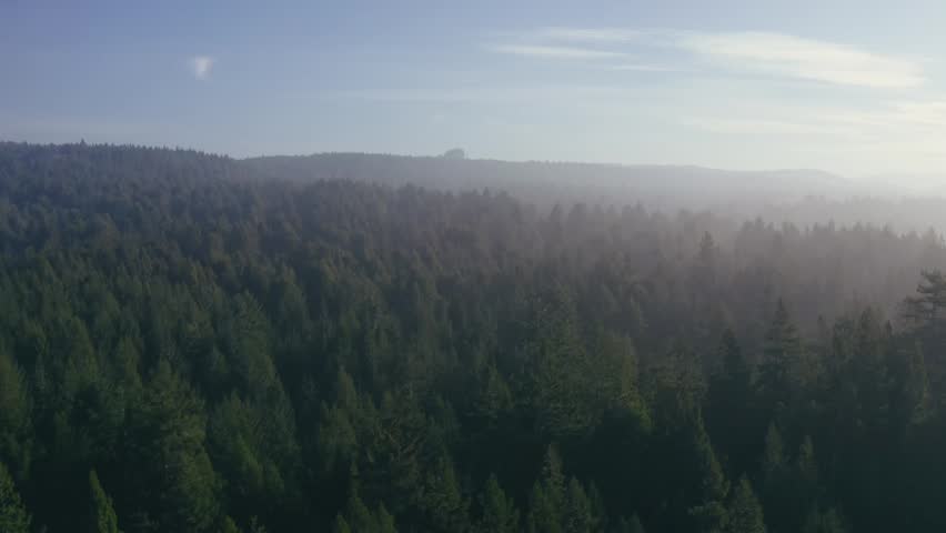 A drone shot of the sunset over the Northern California trees.