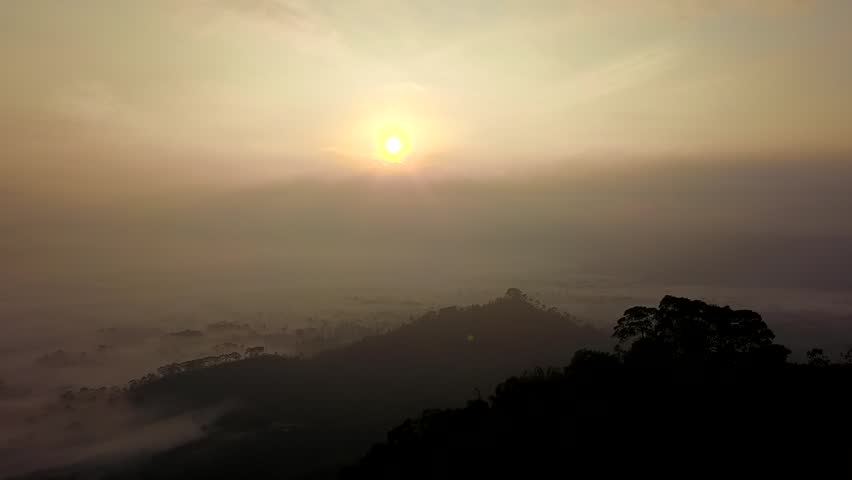 Golden Sunrise Over Misty Hills and Tropical Forests