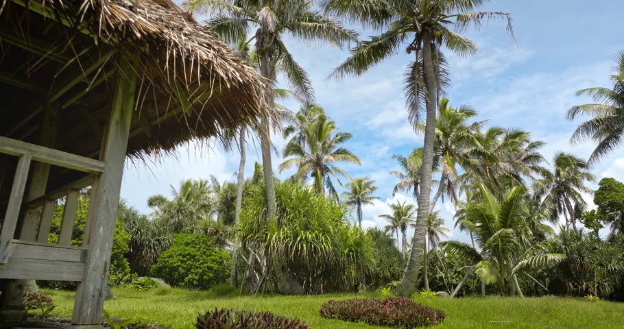 Tana Island, tropical paradise, Vanuatu village. Thatched hut bungalow under blue sky, surrounded by tall palm trees and lush green lawn and vegetation creating a tranquil scene. Zoom out panorama
