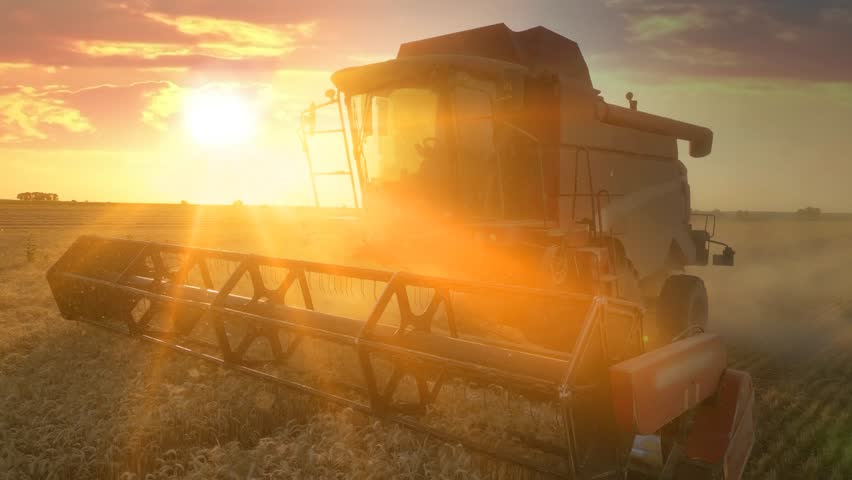 Combine harvester working on the wheat field at sunset, drone shot - close up. Beautiful rural summer landscape. Food production, agriculture concept.
