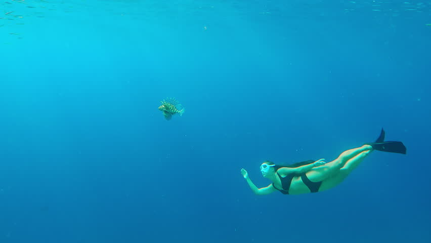 Young woman snorkeler with long hair swims underwater close to Red Lionfish, examining it. Girl in mask and fins, diving in sea, looks at lionfish swimming in blue water on sunny day.