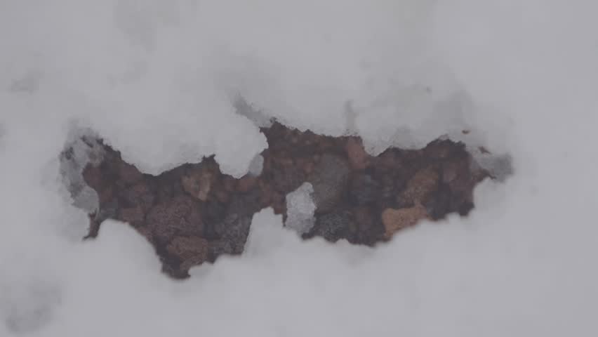 Steam rises from hot volcanic cinders melting the overlying snow. This dramatic contrast highlights geothermal activity in a cold winter environment.