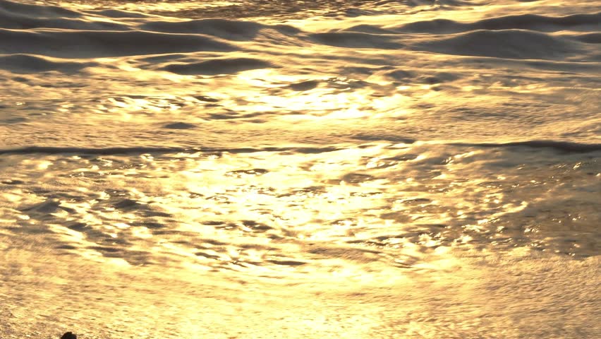 Peaceful ocean surf at sunset on a soft sandy shore with glowing warm light.