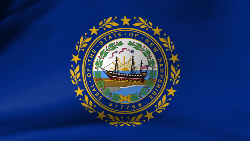 New Hampshire State Flag Waving Gently in Close-Up, Real Time Loop
