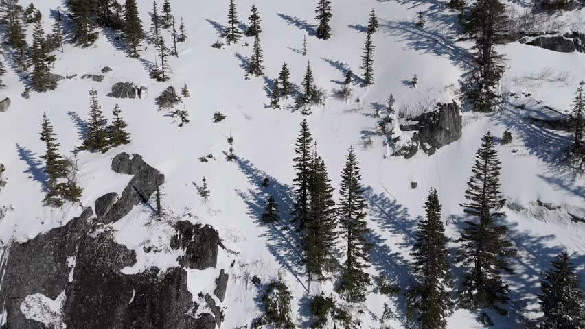 Majestic Winter Landscape in British Columbia, Canada with Snow-Capped Peaks and Evergreen Forests