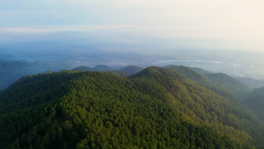 Aerial drone view of the top of a row of hills and mountains with forests and trees in the morning in Banyumas, Central Java, Indonesia