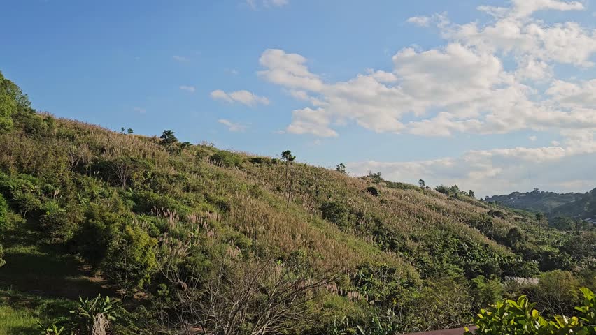 Green hills with the sky as a backdrop