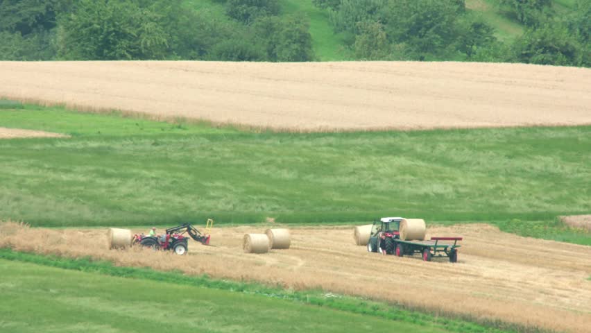 Agricultural scene with a tractor loading and hauling straw bales under warm summer light (time lapse)