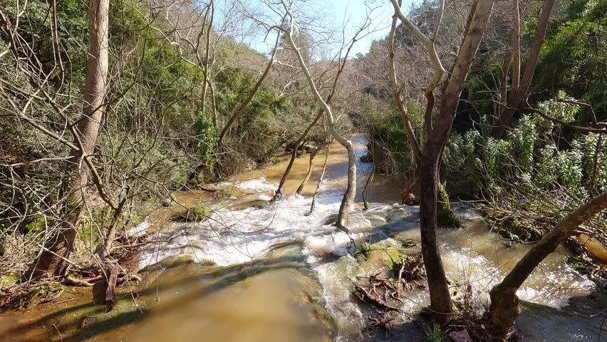 Beautiful waterfall in forest during spring season