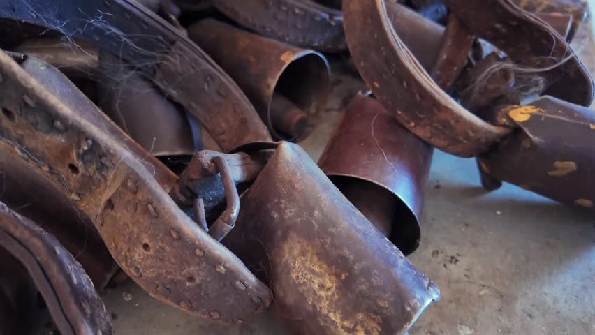Close up of numerous old, rusty cowbells with leather collars piled together. Authentic rustic farming equipment showing wear and tradition