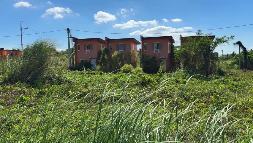 Ground level view showing linear abandoned houses surrounded by tall wild grass and dense overgrowth.