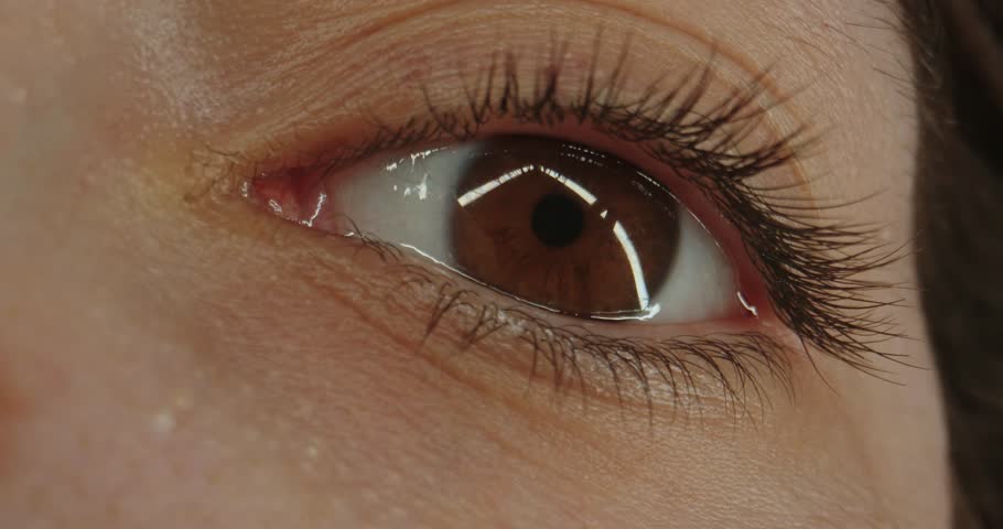 Macro shot of a brown women eye gazing upward. Concept of optics and vision, eye health, the beauty and media industries, medical dermatology and a natural, eco friendly lifestyle.