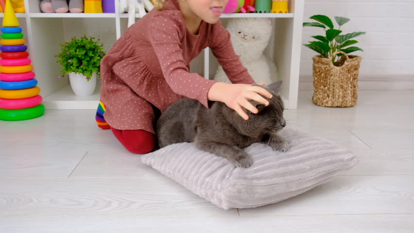A child plays with a cat at home. Selective focus.