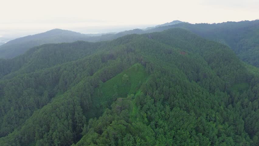 Aerial drone view of a row of hilltops and mountains with forests and trees in the morning in Banyumas, Central Java, Indonesia.