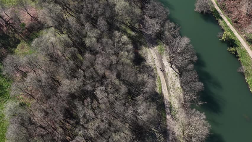 Person walking the dog on a urban park next to a river drone shot.