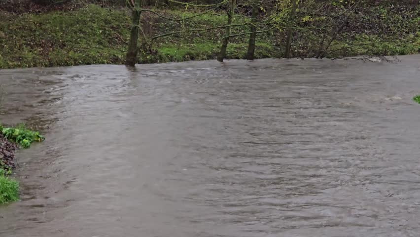 Swollen river with muddy water overflowing its banks and flooding the surrounding vegetation