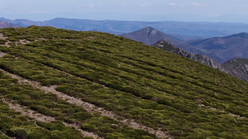 Drone captures green shrub-covered hillside with rocky peaks behind in Montpezat-sous-Bauzon, Ardèche, France