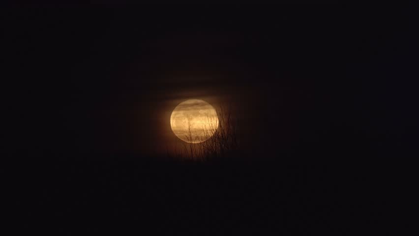 Large orange moon rising above the tree line into the clouds