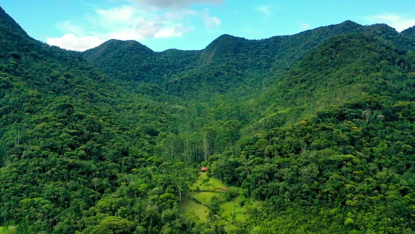 A breathtaking high-angle shot capturing the rugged terrain of a mountain range completely blanketed in lush, primary tropical vegetation. The scene is defined by the dramatic interplay of light and shadow during the golden hour, where the setting sun illuminates the upper ridges while casting the lower valleys into deep, moody silhouettes. The dense canopy reveals a rich variety of tree species, typical of the Atlantic Forest (Mata Atlântica) or similar rainforest biomes. The clear, blue sky in the background provides a minimalist contrast to the complex textures of the foliage, evoking themes of environmental conservation, untouched wilderness, and the serene majesty of nature.