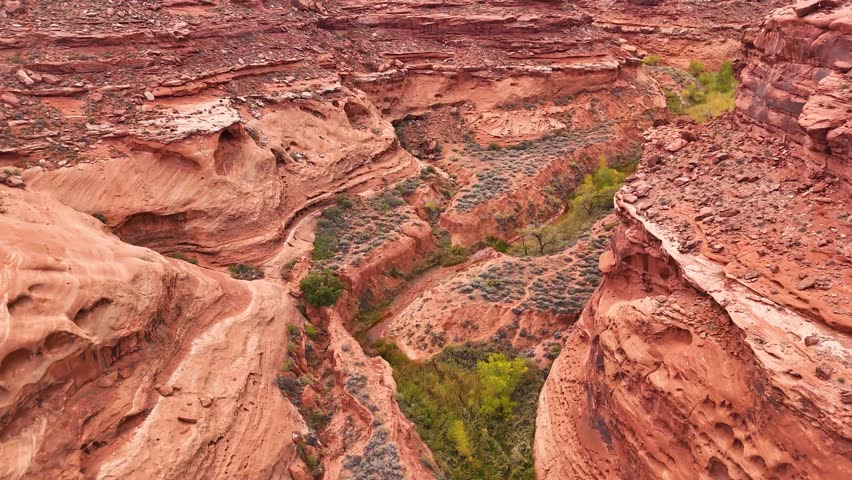 This 4K video captures a desert canyon landscape within the Grand Staircase-Escalante National Monument, Utah. The visual documents red rock erosion patterns and riparian vegetation on the canyon floor. The composition illustrates Mesozoic sedimentary formations and paleontological sites, documenting high-concentration dinosaur fossil regions and Great Basin geomorphology for nature, travel, and editorial media.