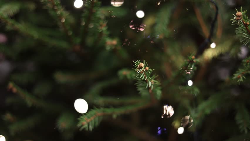 Detailed view of christmas tree branches with small glowing lights highlighting festive decoration and holiday atmosphere