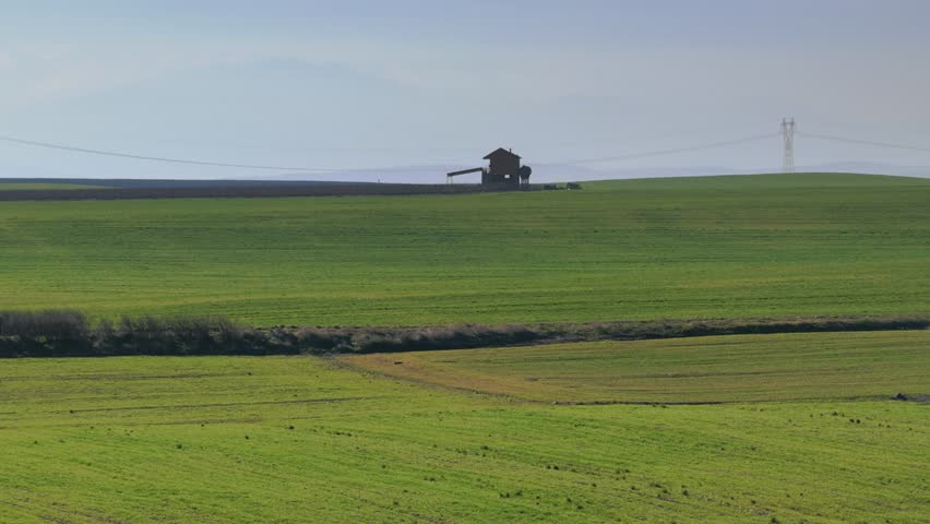Drone footage of a farmhouse situated in a large green agricultural field.