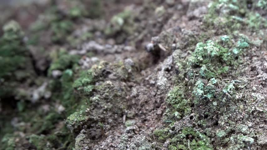 Look beautiful of sand on park