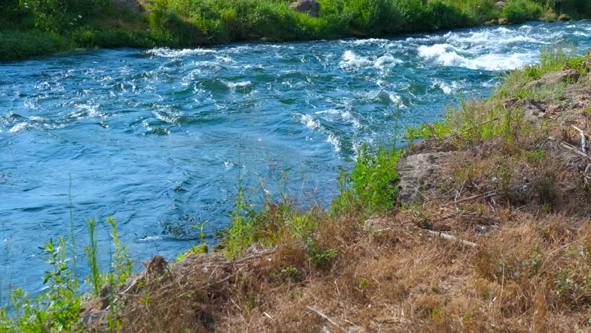 Clean river flowing through lush green landscape. Crystal-clear water flows smoothly in a river, creating small waves and reflecting the surrounding nature, showcasing a picturesque landscape