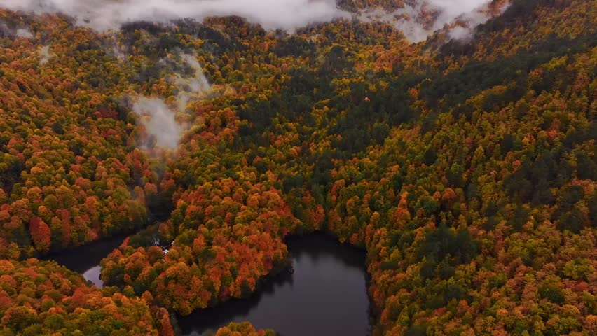 Cinematic aerial drone footage of a misty lake in Yedigoller National Park, Bolu, Turkey. Morning fog gently covers the calm water surrounded by dense forest, creating a peacuful and atmospheric natural landscape. Ideal for travel, nature and relaxtion themes.