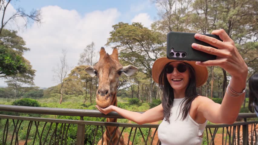 Close up happy woman visitor wear straw hat takes selfie with an endangered Rothschild giraffe at the Nairobi Giraffe Center. Authentic wildlife encounter in Kenya conservation sanctuary