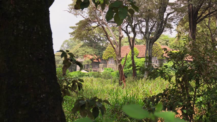 Nairobi, Kenya - 13th october, 2025: historic Giraffe Manor house nestled in a lush acacia forest in Nairobi, Kenya. Highlights iconic colonial architecture and sanctuary scenery