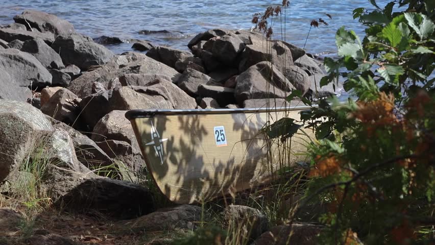 Peaceful scenes in nature near the shoreline.