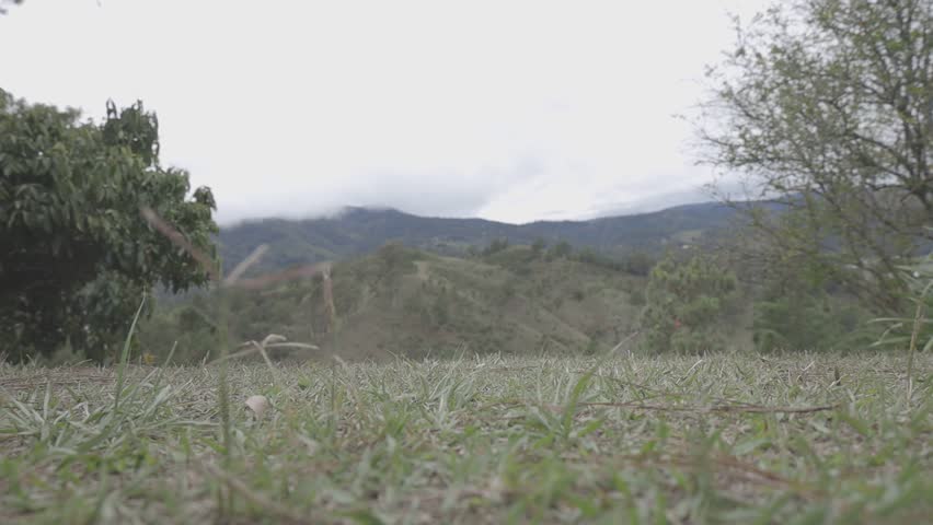 A serene landscape with rolling hills and a cloudy sky